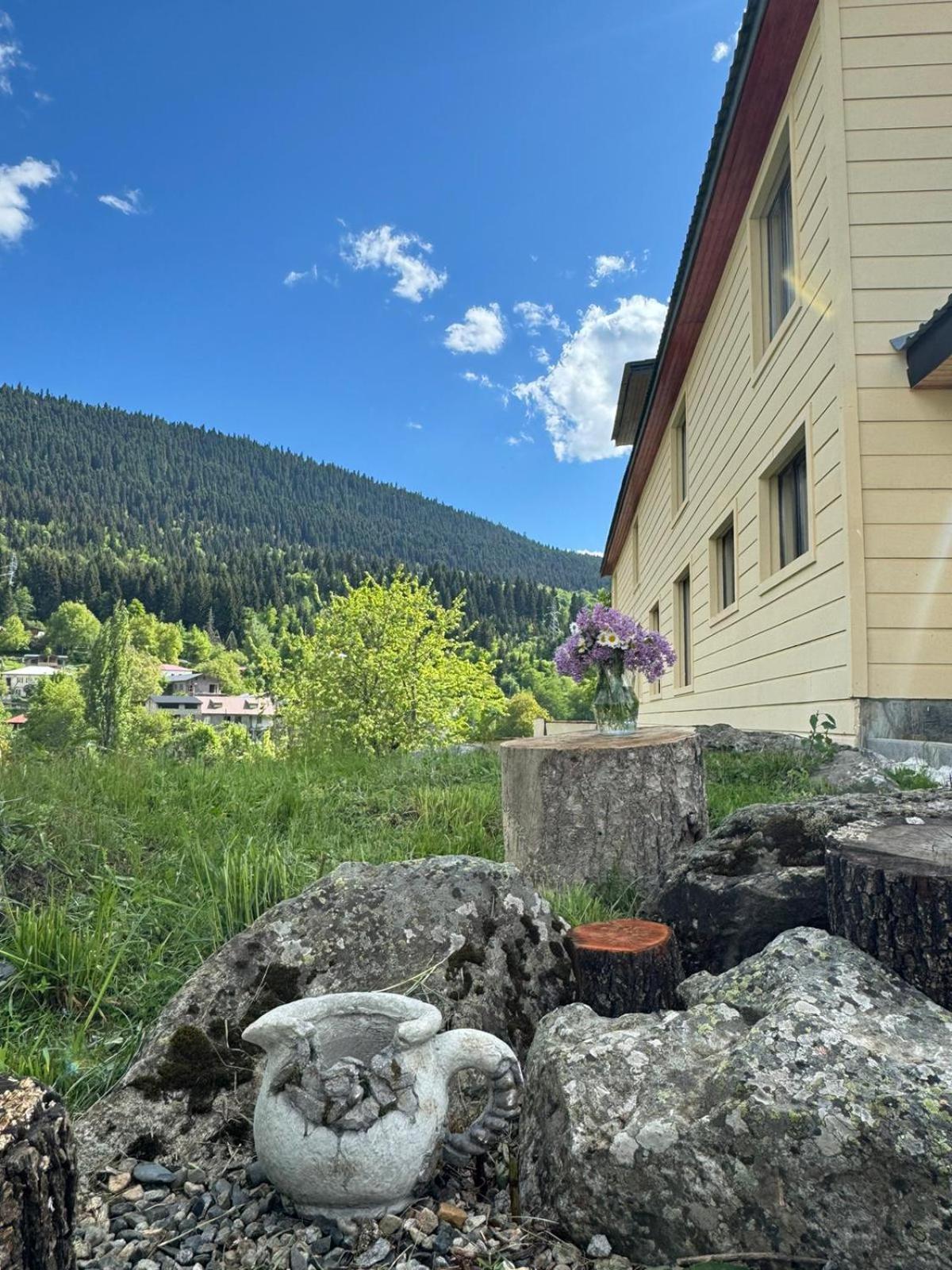 Mestiakhedi Hotel Exterior photo